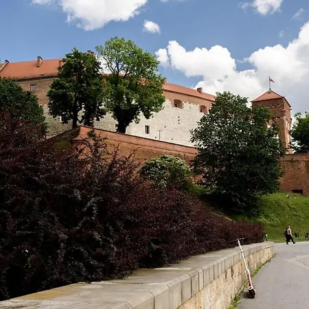 Wawel Castle Across The Street! Ozonated Appartement Cracovie