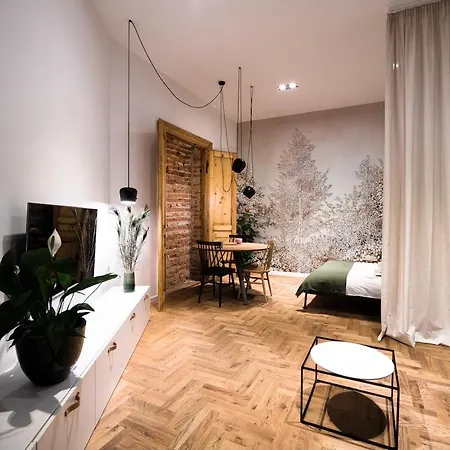 Wawel Castle Across The Street! Ozonated Apartment