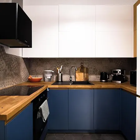 Wawel Castle Across The Street! Ozonated *