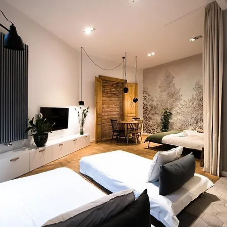 Wawel Castle Across The Street! Ozonated