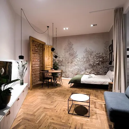 Wawel Castle Across The Street! Ozonated Apartmán *