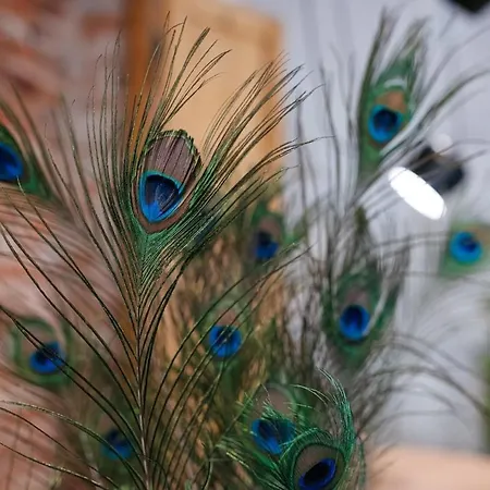 Apartmán Wawel Castle Across The Street! Ozonated Krakov