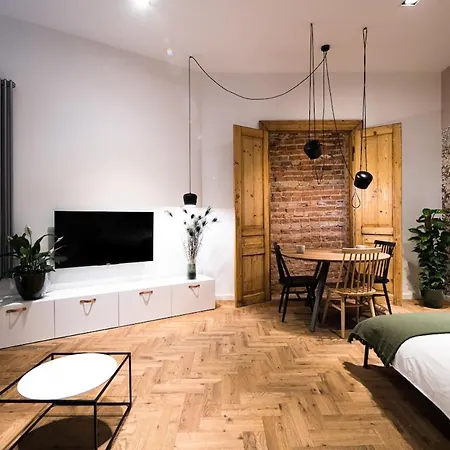 Wawel Castle Across The Street! Ozonated Apartmán *