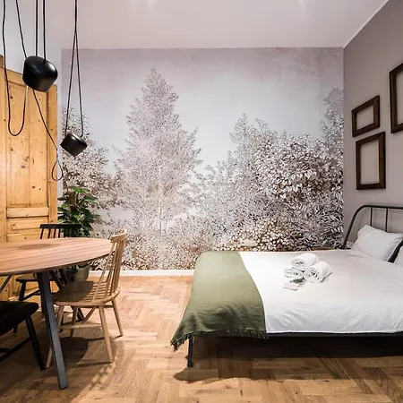 Wawel Castle Across The Street! Ozonated Krakov