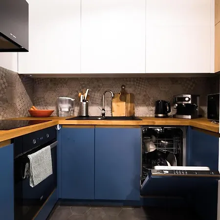 Wawel Castle Across The Street! Ozonated