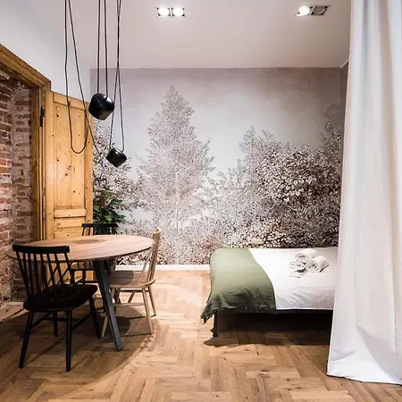 Wawel Castle Across The Street! Ozonated Apartmán Krakov