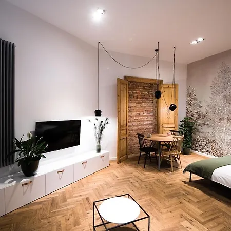 Wawel Castle Across The Street! Ozonated Krakov