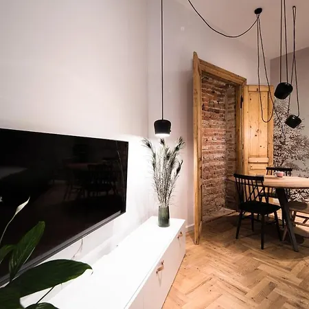 Wawel Castle Across The Street! Ozonated