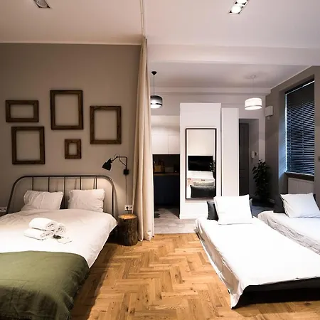 Lägenhet Wawel Castle Across The Street! Ozonated *